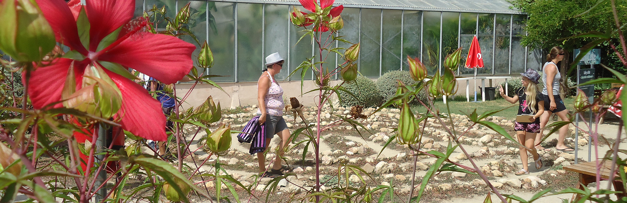 Labyrinthe aux 100 fleurs