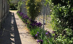 Labyrinthe aux 100 fleurs - Trouillas - Les horaires du parc de loisirs